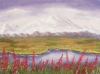Mt. McKinley (Denali) in the Summer Mt. McKinley (Denali) in the Summer